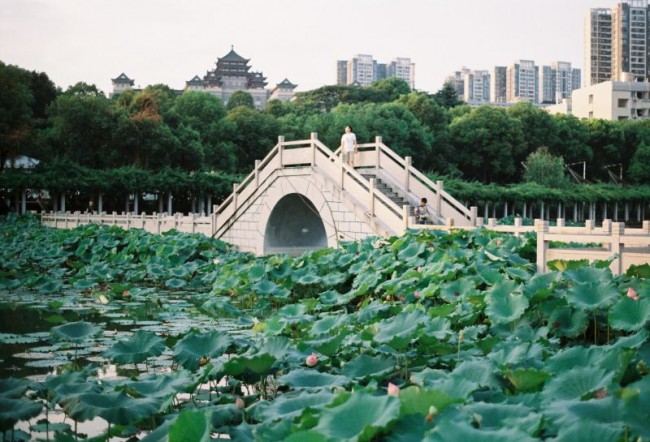 [22063] 期盼今年夏天来的更快一点。 ​​​​