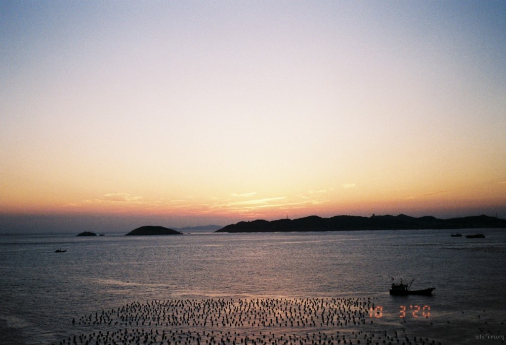 [22594] Facing the Sea With SUMMER  Blossoms