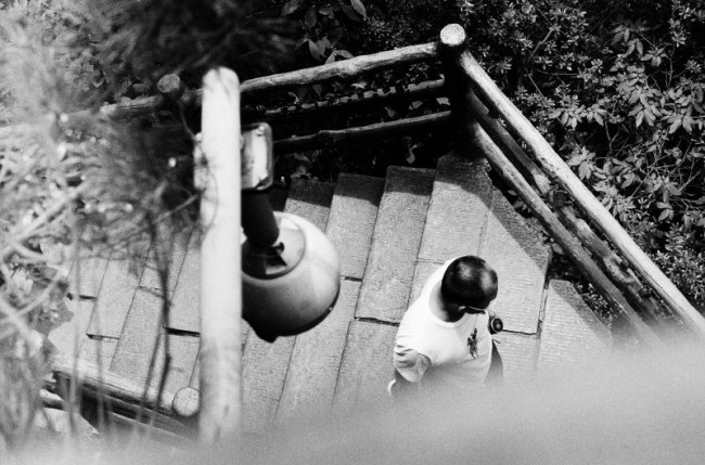 [22575] 山的那邊還是山-張家界之行