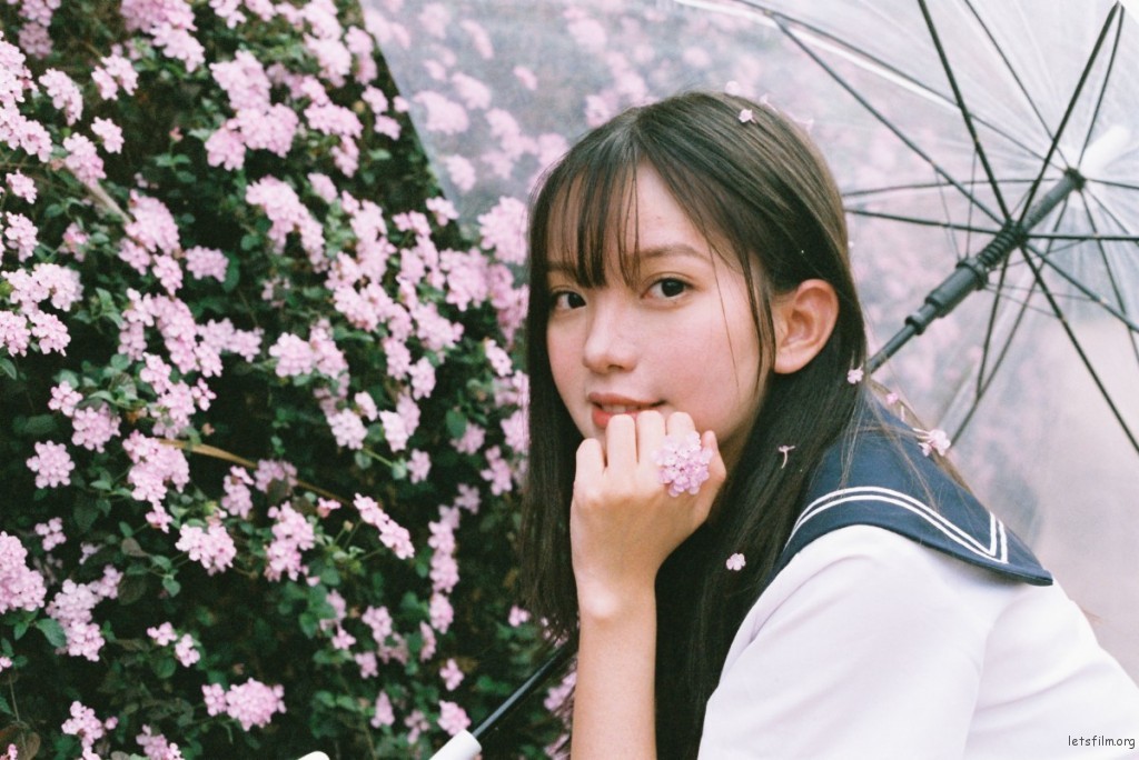 [22829] 春の桜