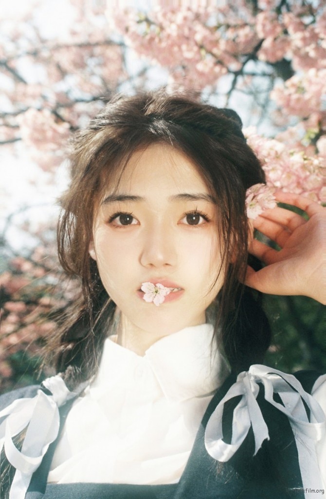 [23213] 樱花樱花想见你
