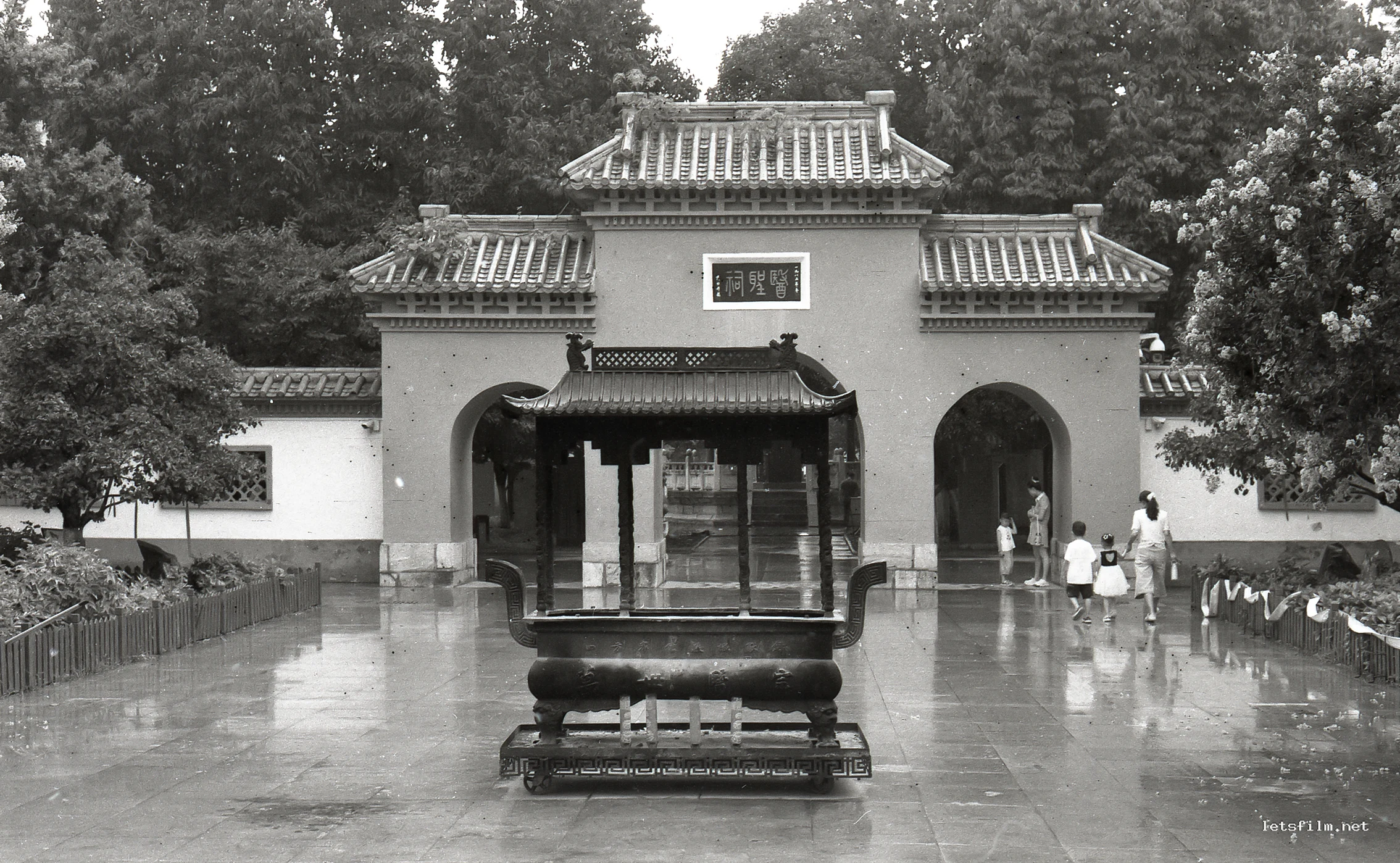 雨中拜谒医圣张仲景