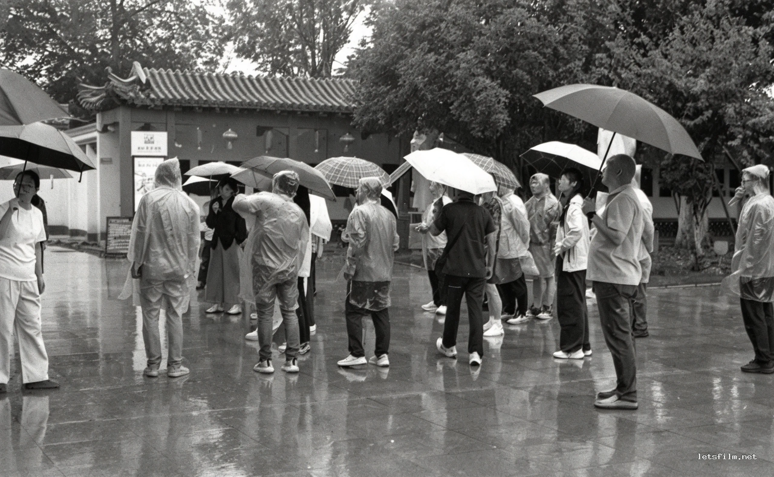 雨中拜谒医圣张仲景