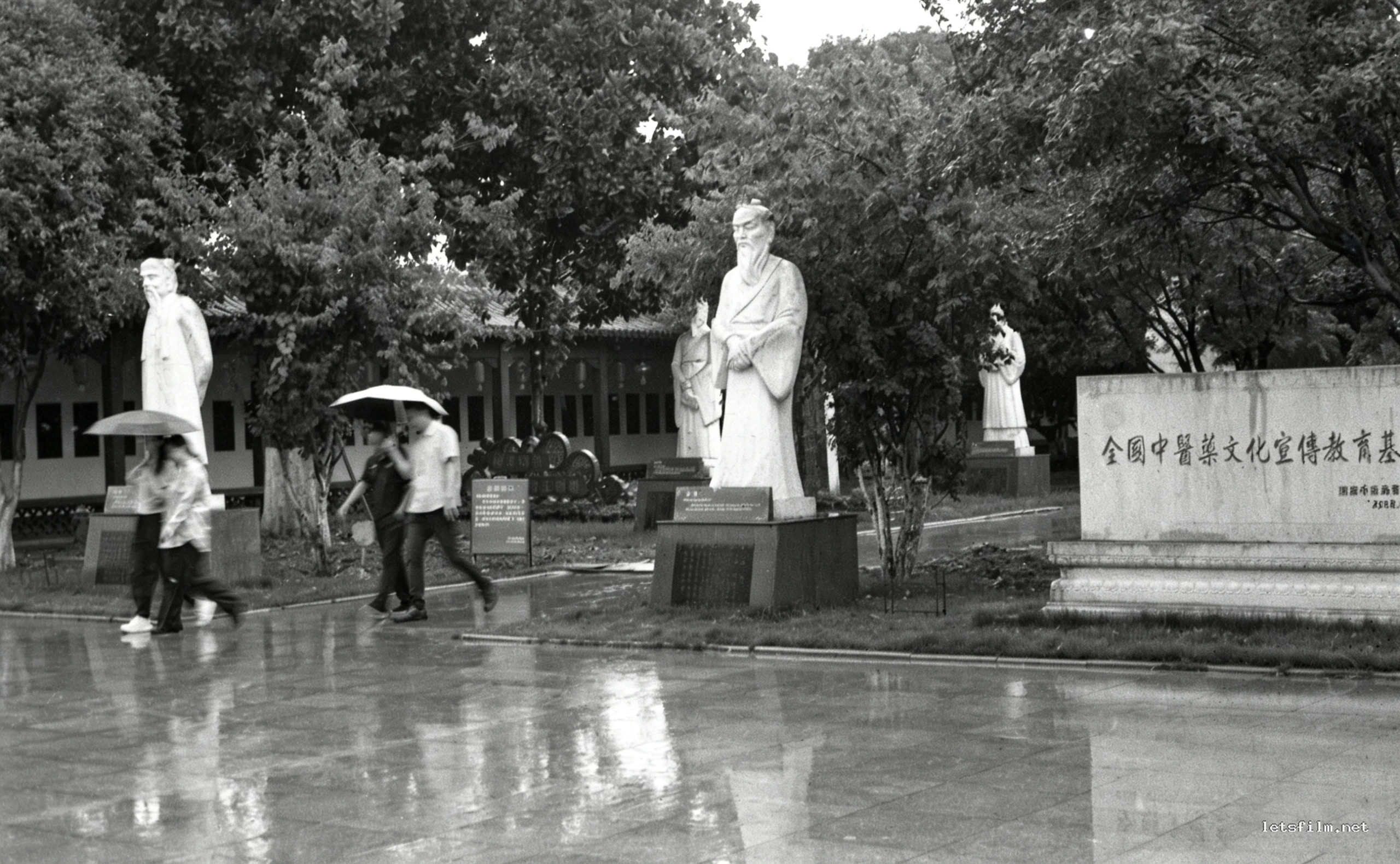 雨中拜谒医圣张仲景