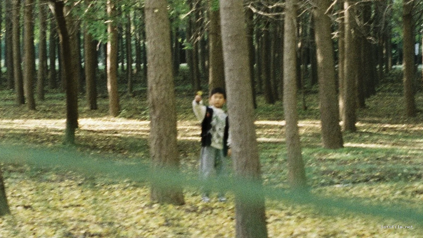 秋游，汉宫与银杏满地
