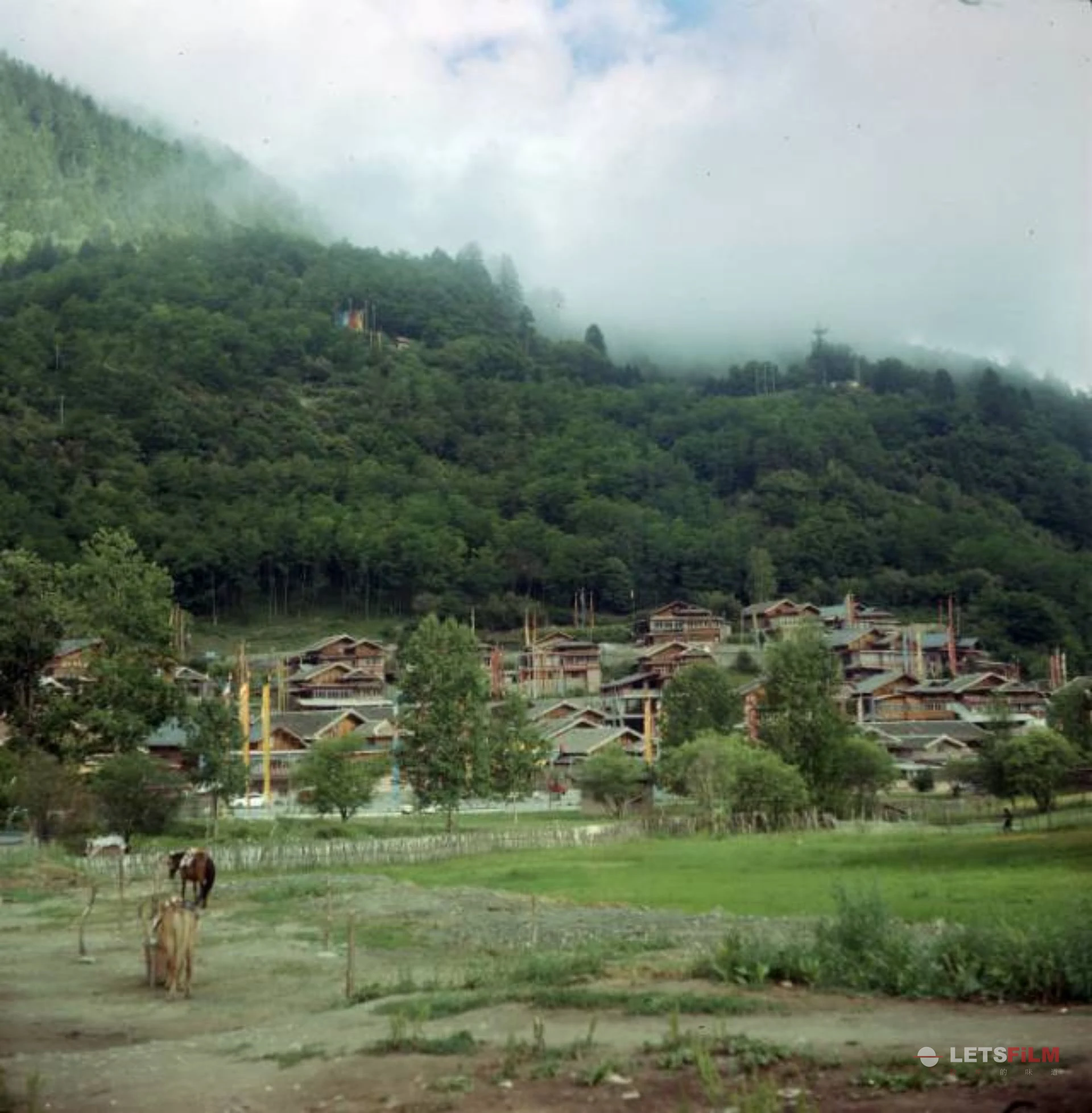 中查村