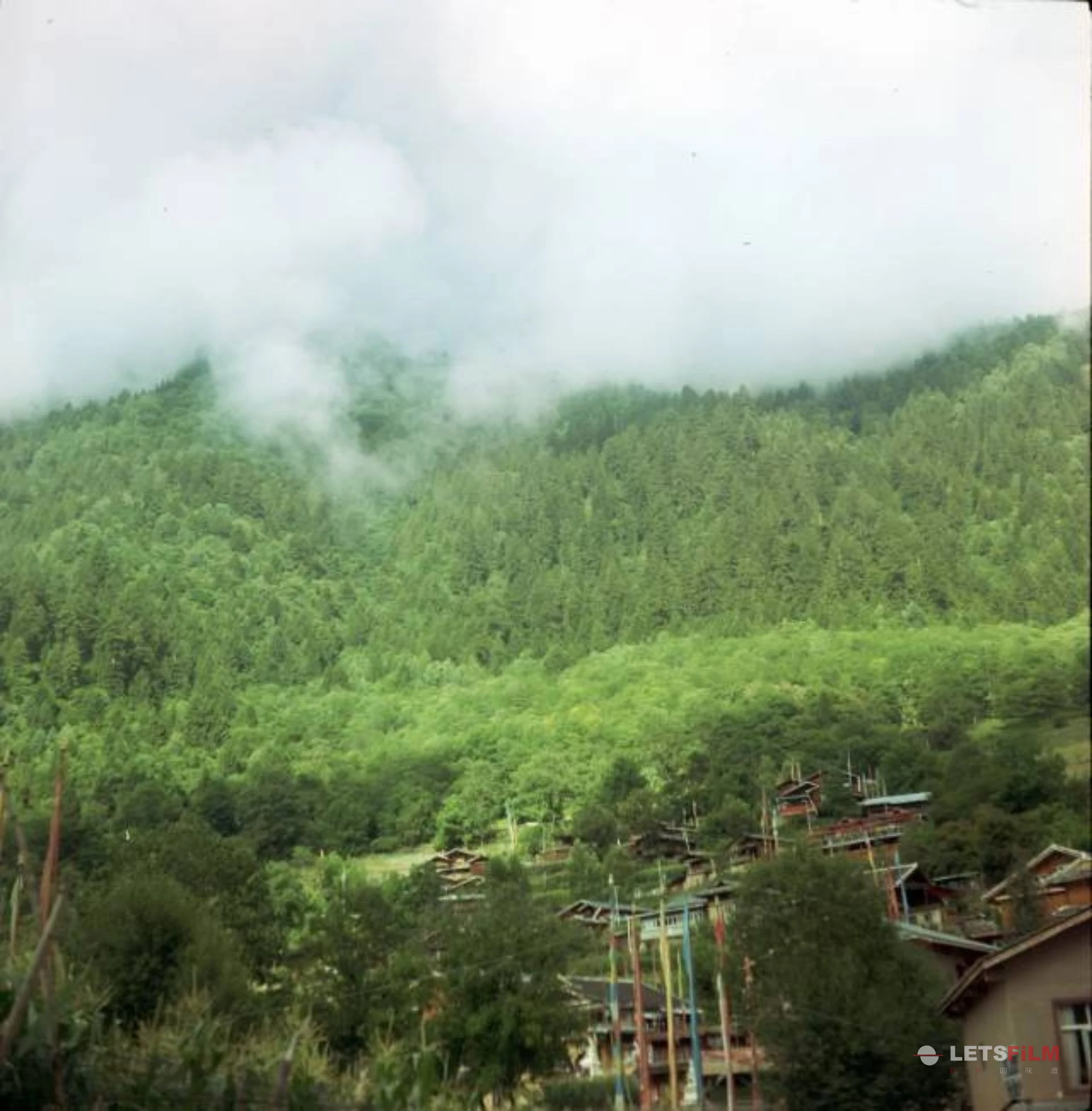 中查村