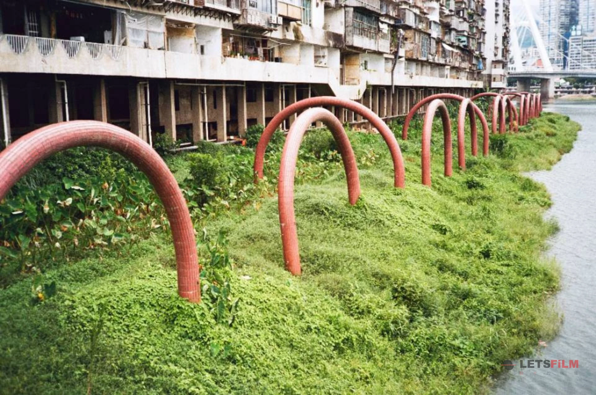 延平湖景
