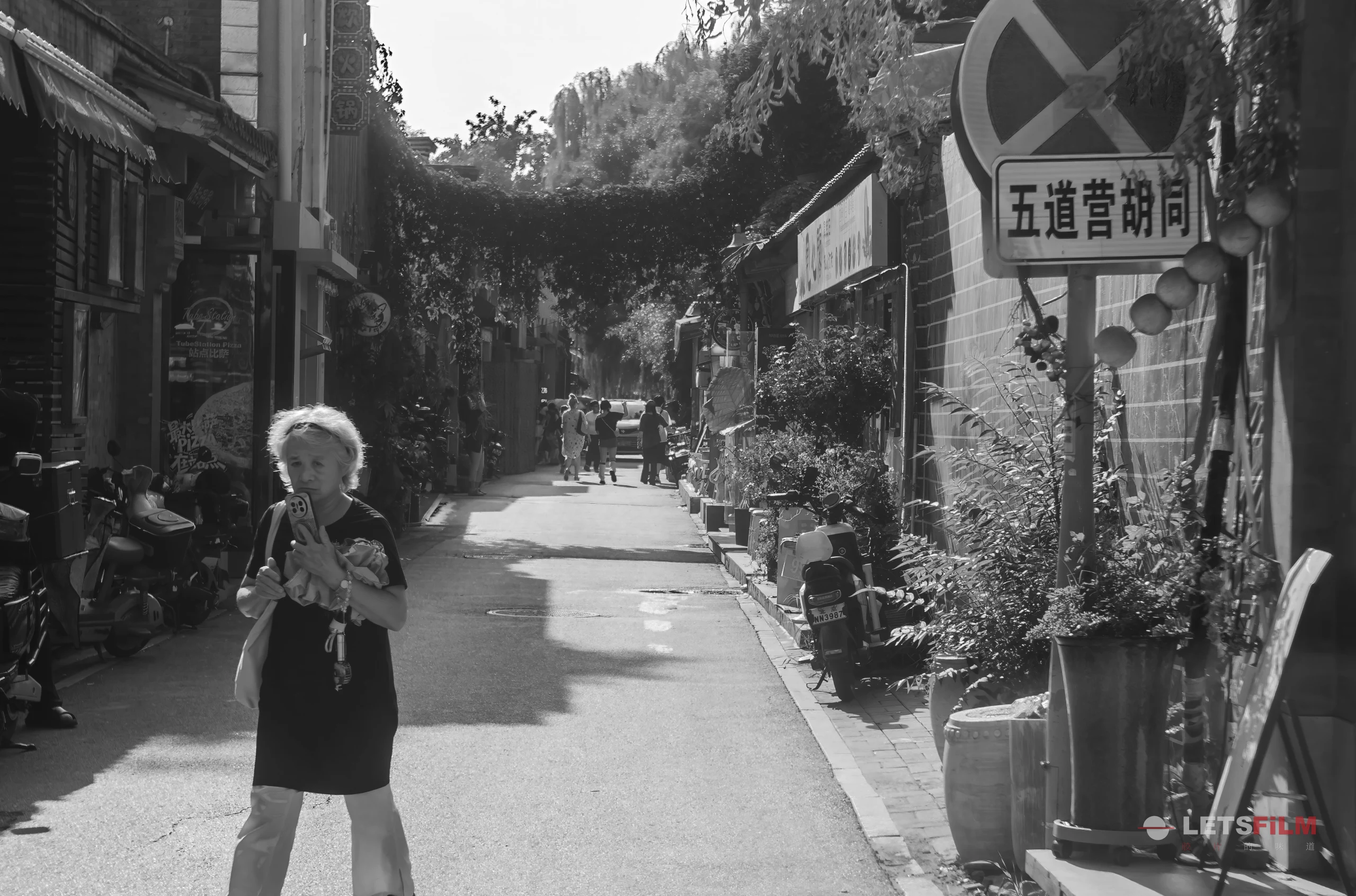 青葱岁月