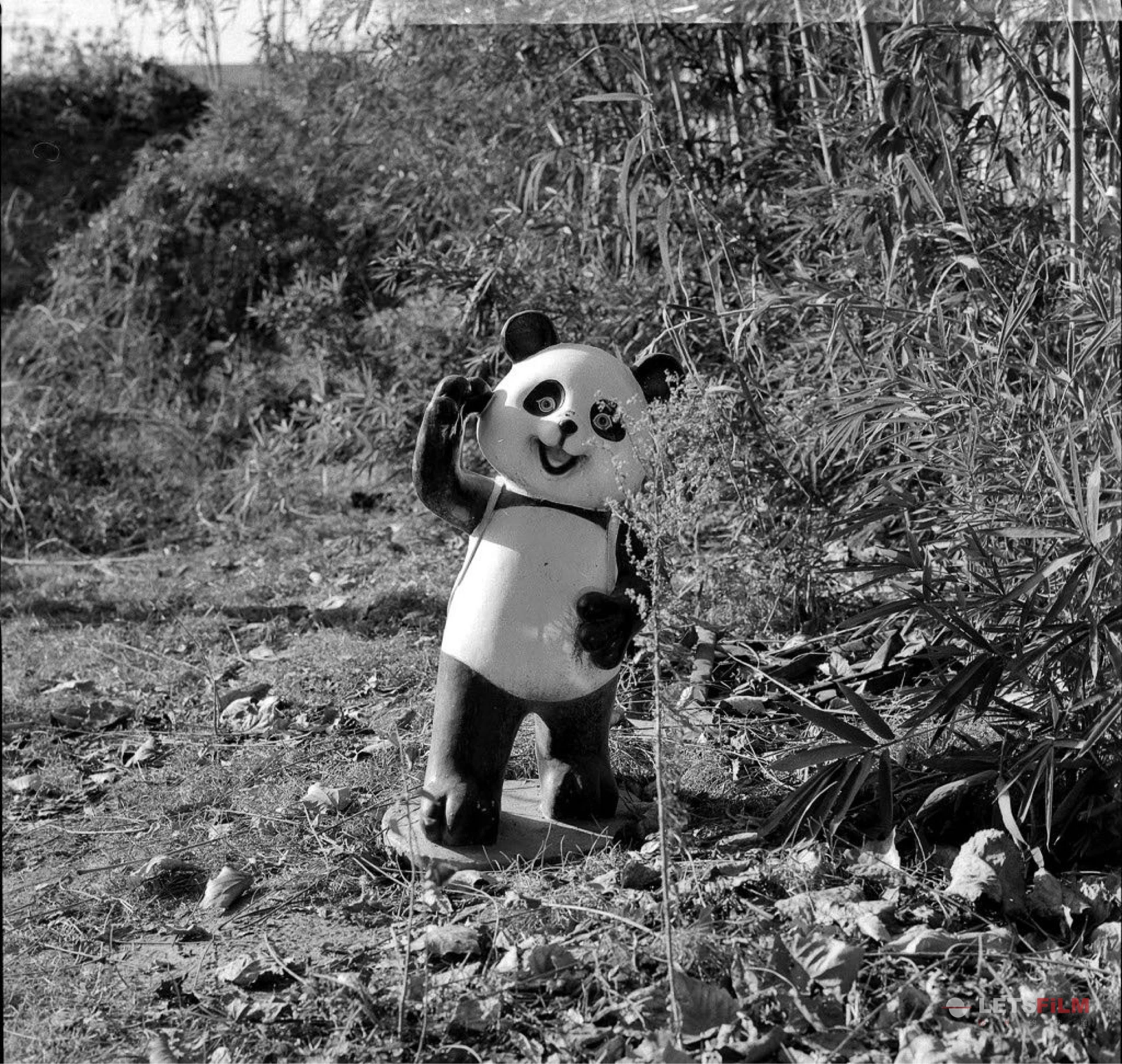 破败的园区