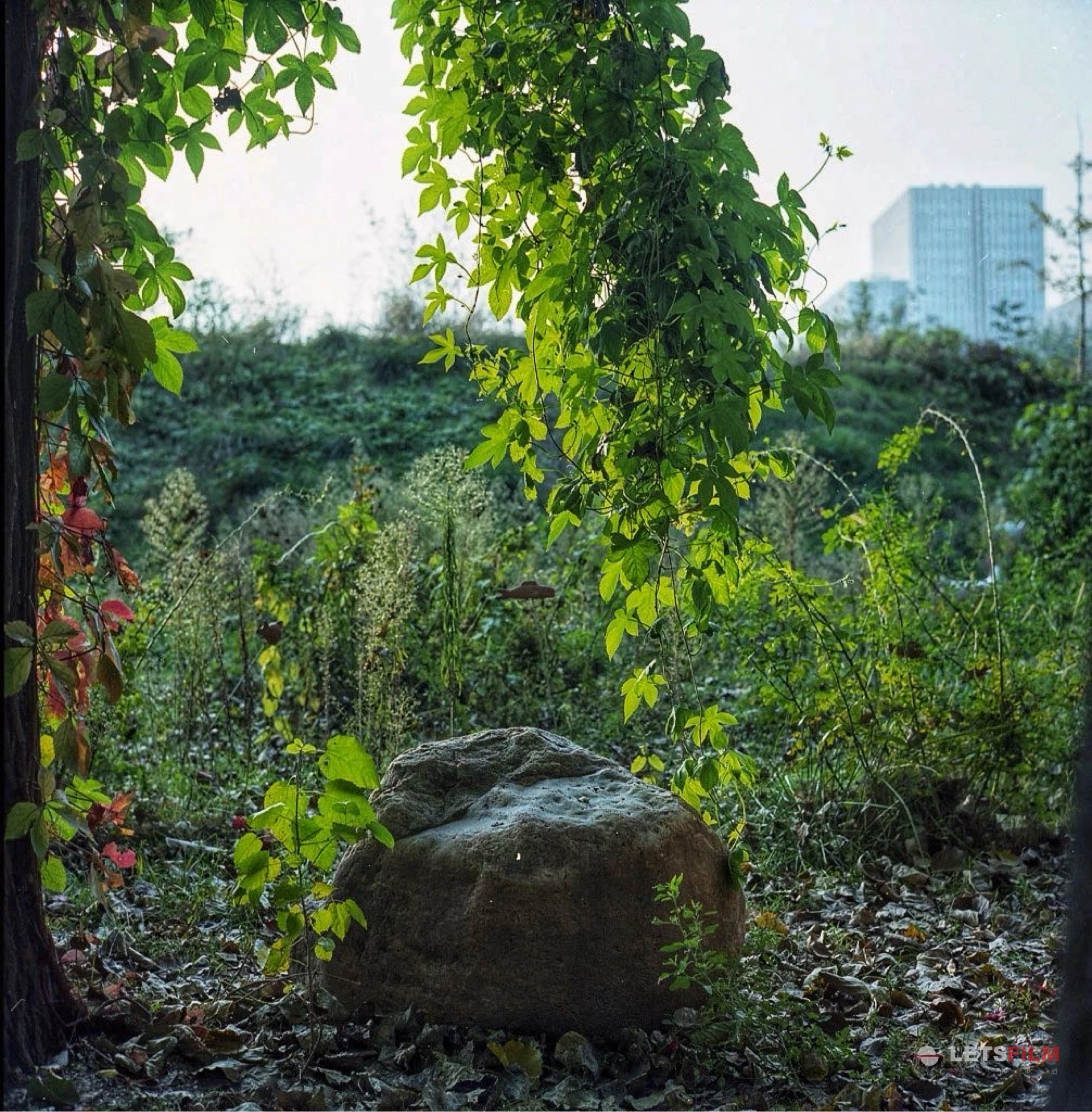 破败的园区